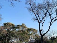 -上海吴淞炮台湾国家湿地公园