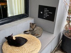 -转山咖啡(松柏社区店)