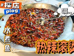 -沸腾鱼乡(知春路分店)