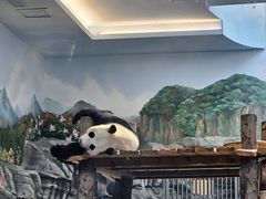 -武汉动物园