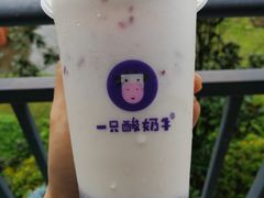 原味酸奶紫米露-一只酸奶牛(八一路店)