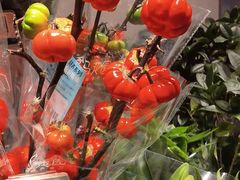 -盒马鲜生(馥邦国际店)