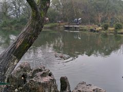 -西湖外事游船(花港观鱼码头)