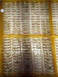 -粤豪珠宝(贝丽北路店)