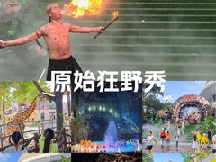 -灵玲国际马戏城