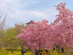 -古柏渡飞黄旅游区