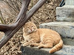 -终南山南五台景区