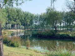 -东郊湿地公园