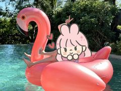 -海南清水湾莱佛士酒店