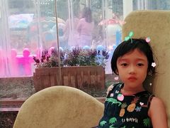 -南宫温泉水世界