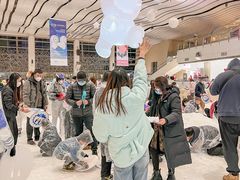 -冰纷万象滑冰场(沈阳万象城店)