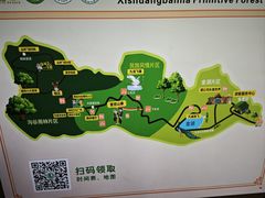 -西双版纳原始森林公园