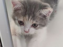 -平行世界·猫咖(首经贸店)
