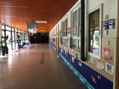 -上海市民办金苹果学校