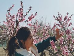 -大兴滨河森林公园