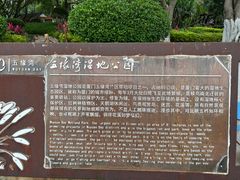 -五缘湾湿地公园