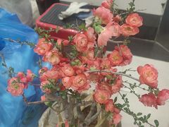 -无锡文化工艺品市场(槐古路店)