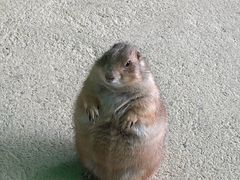 -杭州野生动物世界