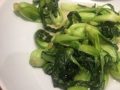 -海中洲渔社