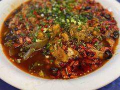 -龙翔山庄雷鸡肉(青城后山泰安古镇店)