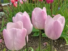 -上海植物园-4号门售票处