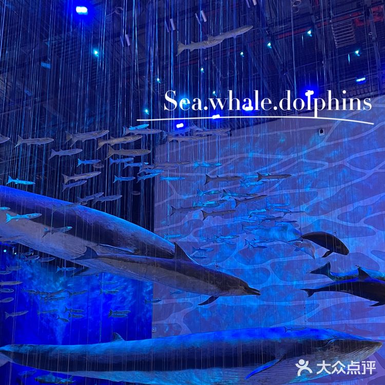 广州亲子好去处|来这里看大鲸鱼🐳广东省博物馆