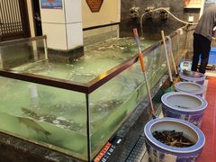 -鱼痴渔醉·食鲜集(月亮湾店)