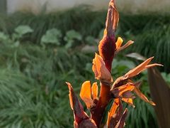 -南汇桃花村