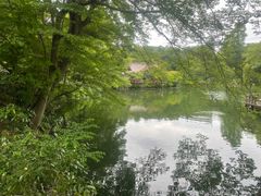 -井之头恩赐公园