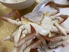 -鸿运美食府