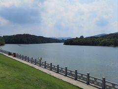 -佛手湖郊野公园