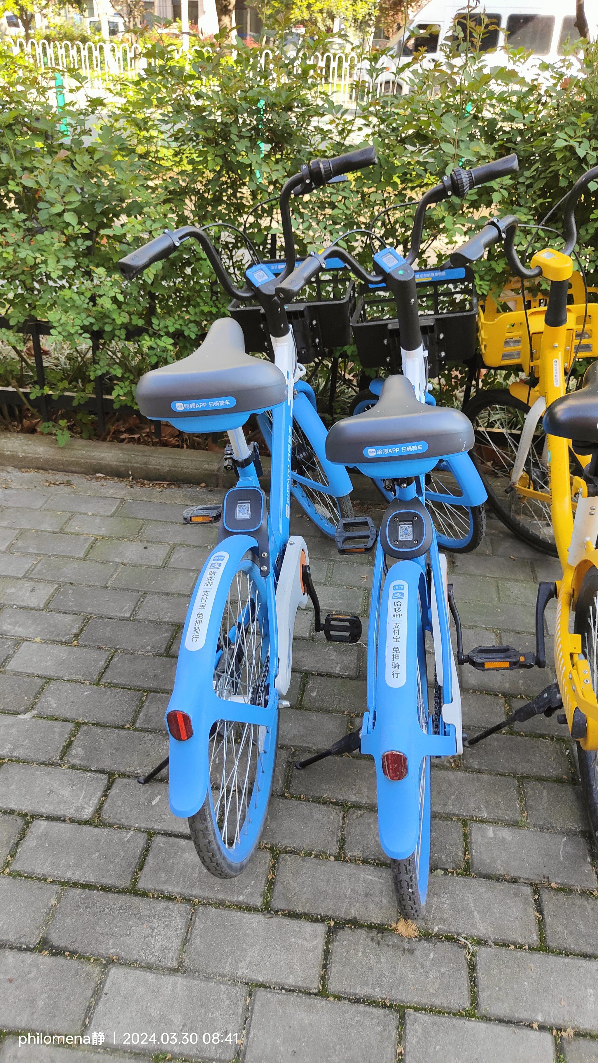 新的小蓝车感觉很好骑,就是还车必须在p点