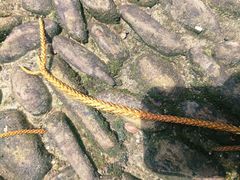 -李宗仁先生故居