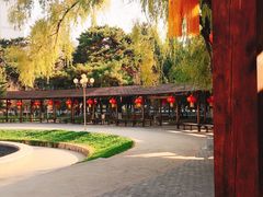 -东北大学(南湖校区)