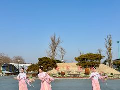 -荷兰花海