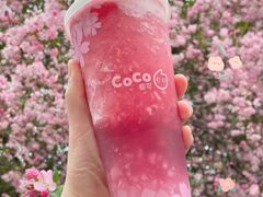 -CoCo都可(国芳百货店)