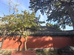 -阳台山自然风景区