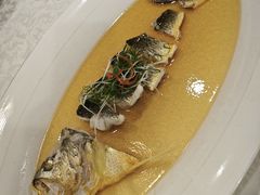 东海生态大黄鱼-麟1929(外滩店)