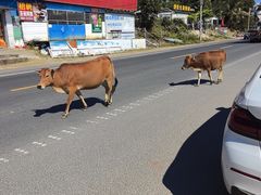 -岛中岛·海鲜大排档·万宁老字号(东澳店)