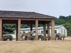-杭州野生动物世界