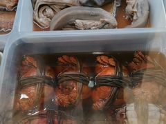 -泰康食品(南京东路店)