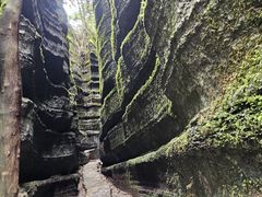 -梭布垭石林景区