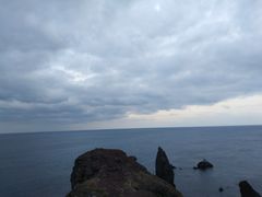 -涉地可支