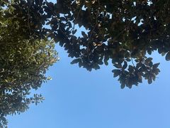 -江阴敔山湖公园