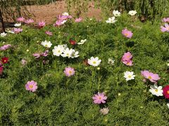 -千姿湖生态旅游景区