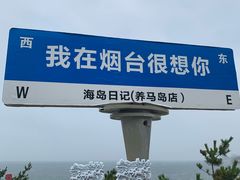 -养马岛旅游度假区