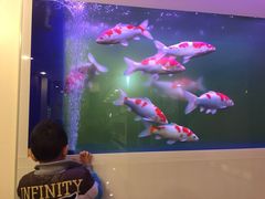 -心乐生活新鲜屋(星海广场店)