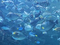 -海合安成都极地海洋公园