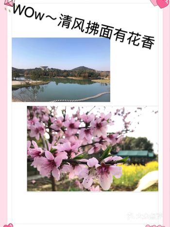这个农场是在茂御酒店一起的哦不算特别的大，入住酒店是