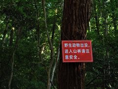 -杭州植物园
